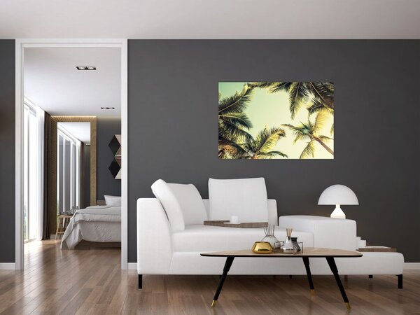 Tablou - Palmieri de cocos (90x60 cm)