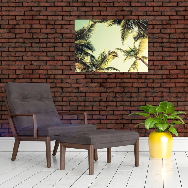 Tablou - Palmieri de cocos (70x50 cm)