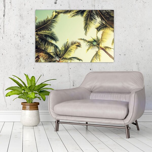 Tablou - Palmieri de cocos (90x60 cm)