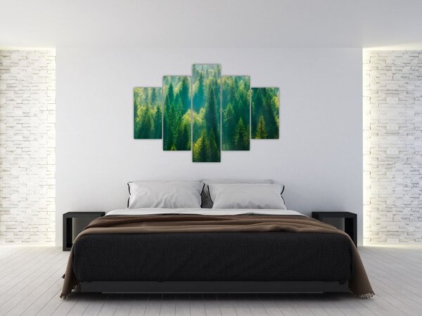 Tablou - Pădurea de brazi (150x105 cm)