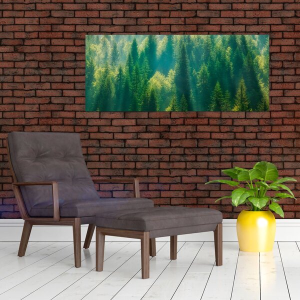 Tablou - Pădurea de brazi (120x50 cm)