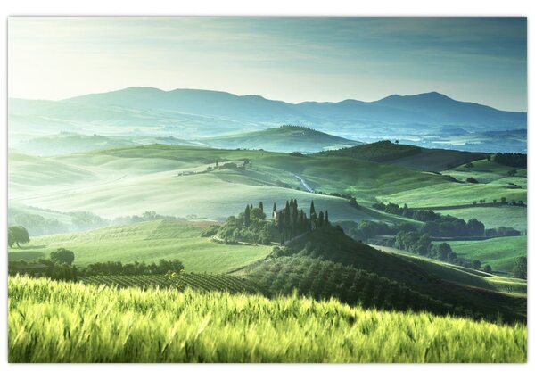 Tablou - Toscana, Italia (90x60 cm)