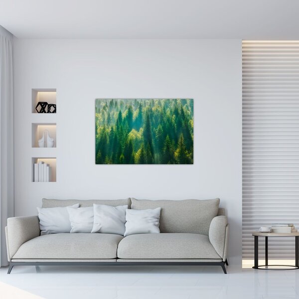 Tablou - Pădurea de brazi (90x60 cm)