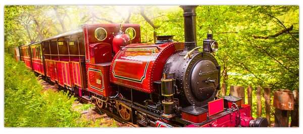 Tablou - Tren cu aburi (120x50 cm)
