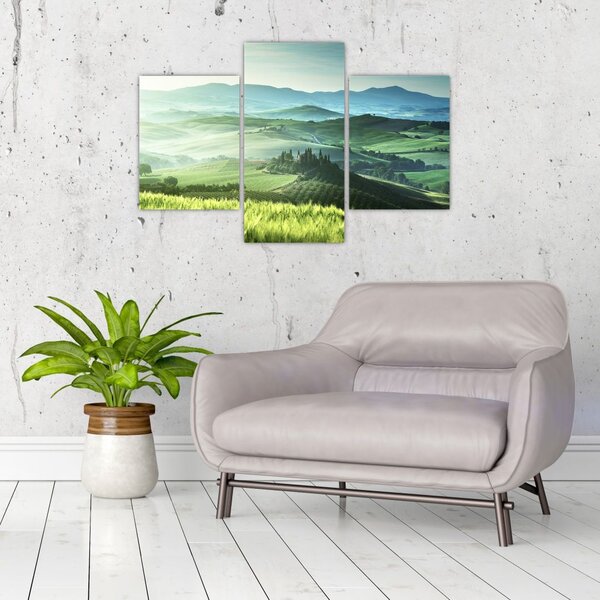 Tablou - Toscana, Italia (90x60 cm)