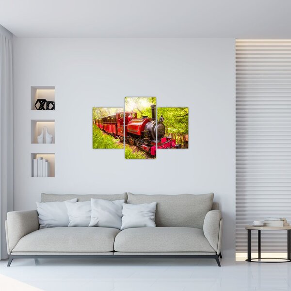 Tablou - Tren cu aburi (90x60 cm)