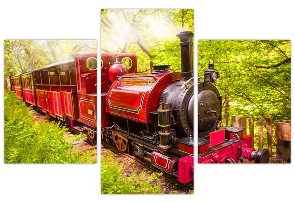 Tablou - Tren cu aburi (90x60 cm)