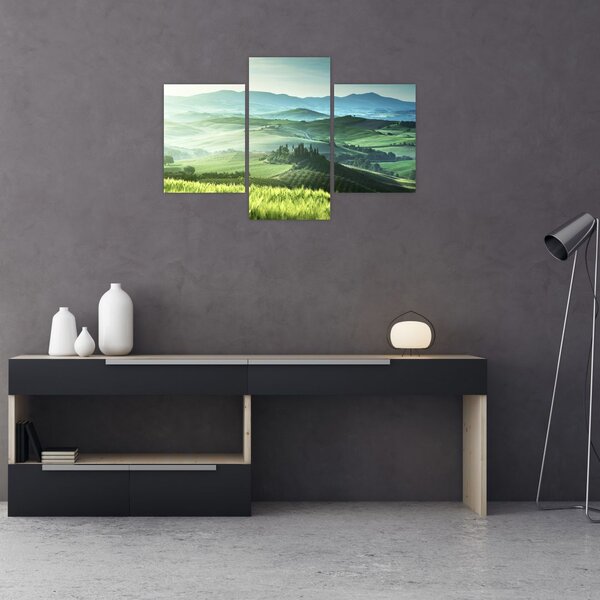 Tablou - Toscana, Italia (90x60 cm)