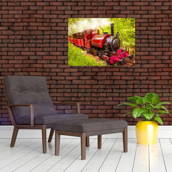 Tablou - Tren cu aburi (70x50 cm)