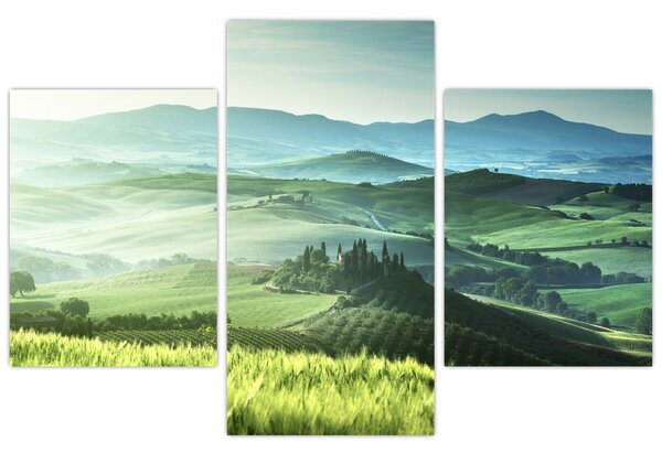Tablou - Toscana, Italia (90x60 cm)