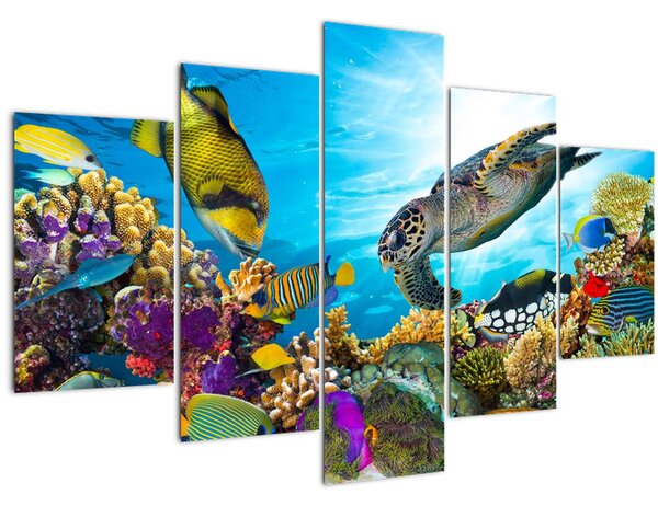 Tablou - Recif de corali (150x105 cm)