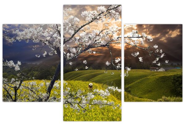 Tablou - Peisaj cu pomul înflorit (90x60 cm)