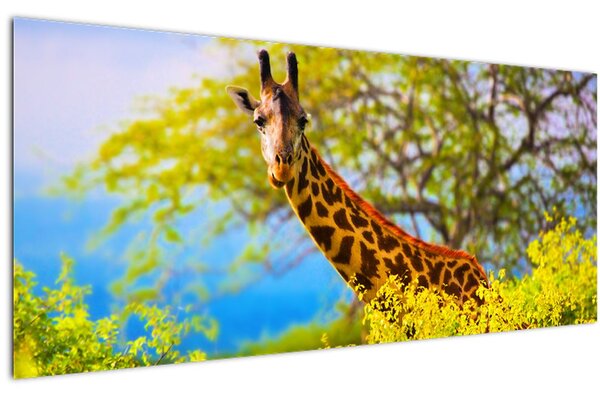 Tablou - Girafa în Africa (120x50 cm)