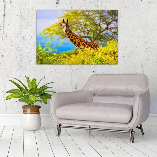 Tablou - Girafa în Africa (90x60 cm)