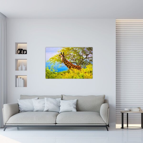 Tablou - Girafa în Africa (90x60 cm)