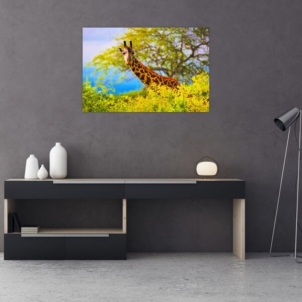 Tablou - Girafa în Africa (90x60 cm)