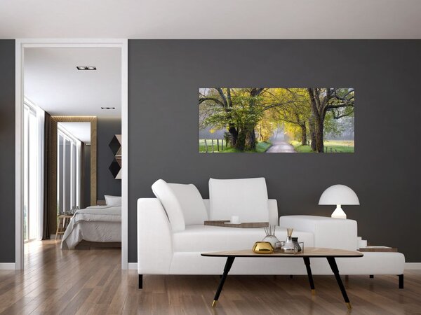 Tablou - Smoky Mountains, Gatlinburg, SUA (120x50 cm)