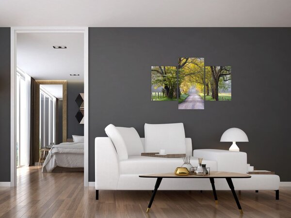 Tablou - Smoky Mountains, Gatlinburg, SUA (90x60 cm)