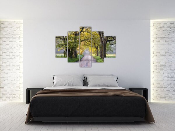 Tablou - Smoky Mountains, Gatlinburg, SUA (150x105 cm)