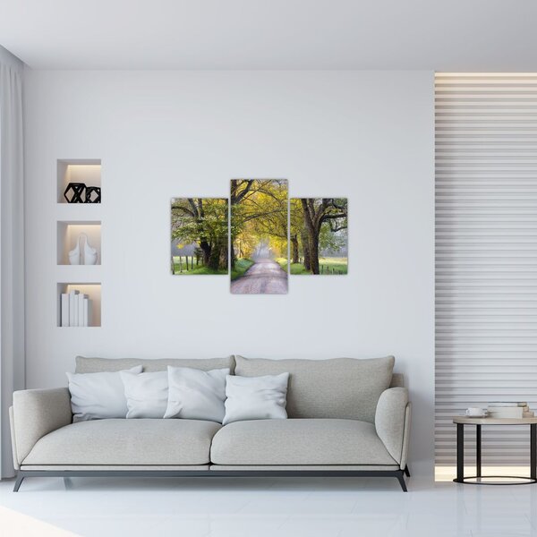Tablou - Smoky Mountains, Gatlinburg, SUA (90x60 cm)