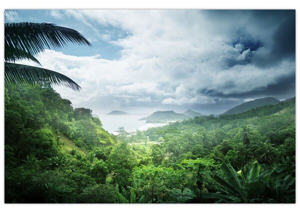 Tablou -Jungla din Seychelles (90x60 cm)