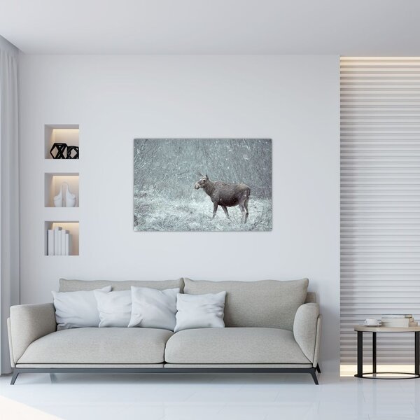 Tablou - Elan într-o pădure înzăpezită (90x60 cm)