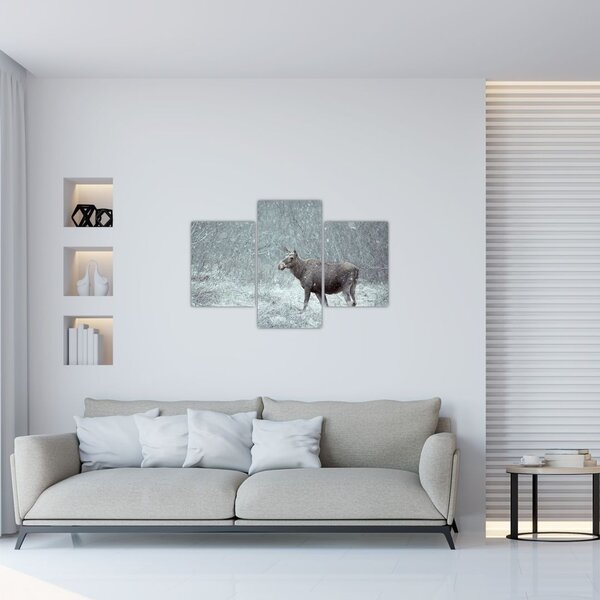 Tablou - Elan într-o pădure înzăpezită (90x60 cm)