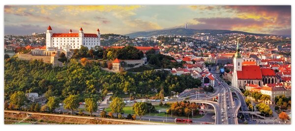 Tablou - Panorama bratislavei, Slovacia (120x50 cm)
