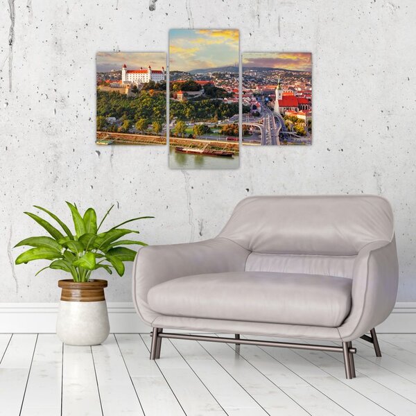Tablou - Panorama bratislavei, Slovacia (90x60 cm)