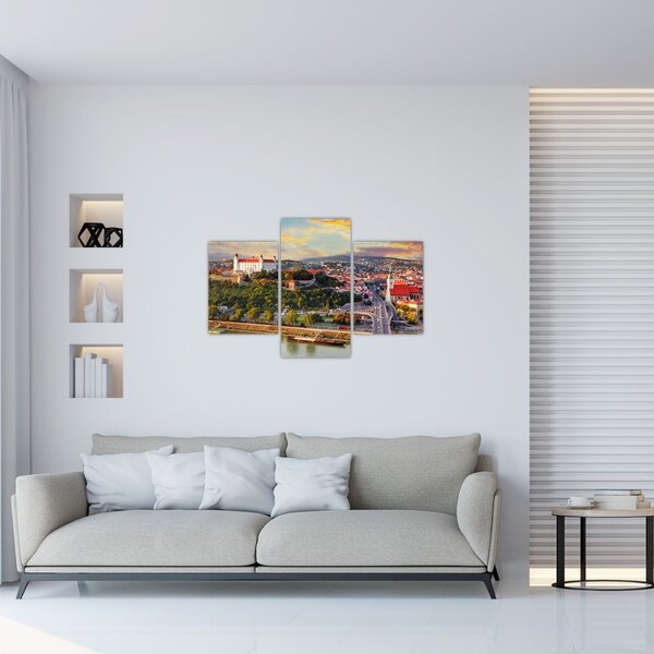 Tablou - Panorama bratislavei, Slovacia (90x60 cm)