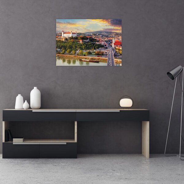 Tablou - Panorama bratislavei, Slovacia (70x50 cm)