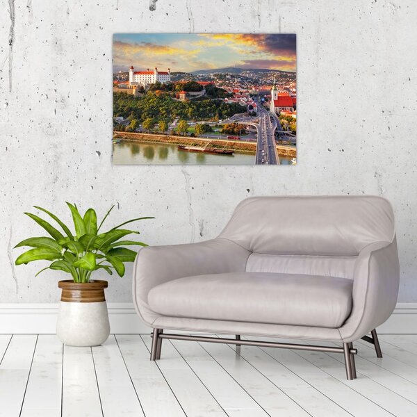 Tablou - Panorama bratislavei, Slovacia (70x50 cm)