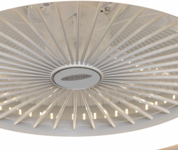 Plafonieră LED dimabilă cu ventilator Brilagi RONDA LED/48W/230V alb + telecomandă