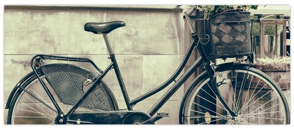 Tablou - Bicicleta de epocă cu flori (120x50 cm)