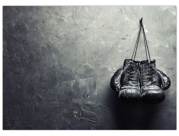 Tablou - Mănuși de box (70x50 cm)