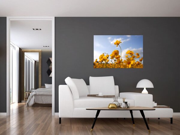 Tablou - Câmp cu flori galben deschis (90x60 cm)