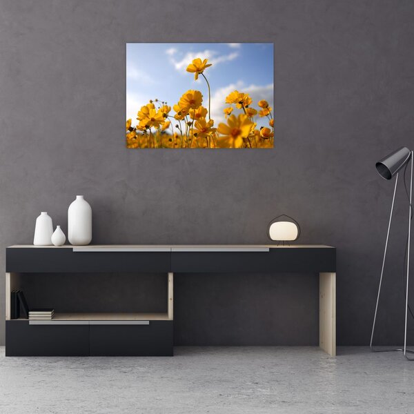 Tablou - Câmp cu flori galben deschis (70x50 cm)