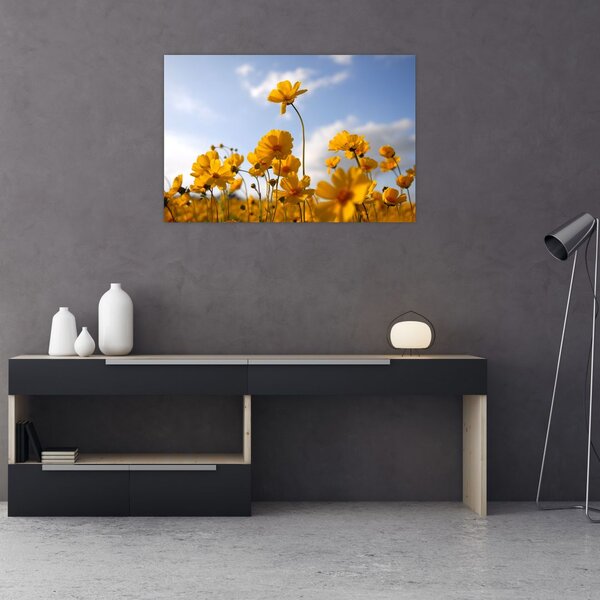 Tablou - Câmp cu flori galben deschis (90x60 cm)