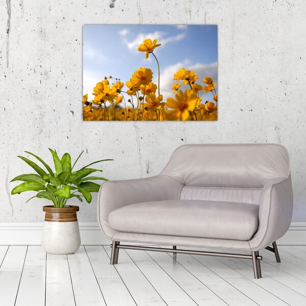 Tablou - Câmp cu flori galben deschis (70x50 cm)