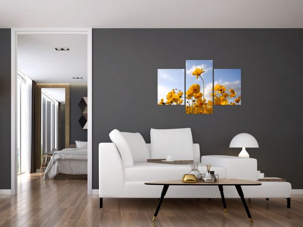 Tablou - Câmp cu flori galben deschis (90x60 cm)