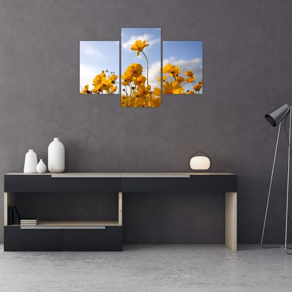 Tablou - Câmp cu flori galben deschis (90x60 cm)