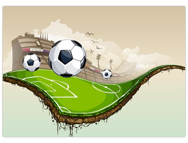 Tablou - Teren de fotbal (70x50 cm)