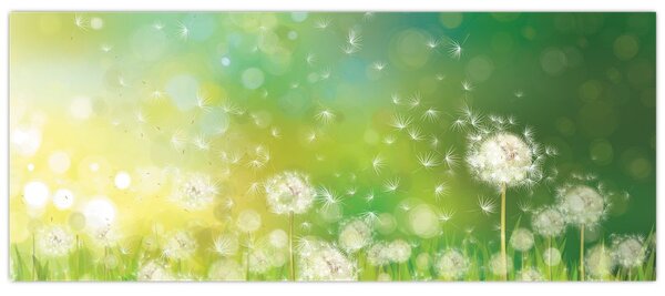 Tablou - Păpădie înflorită (120x50 cm)