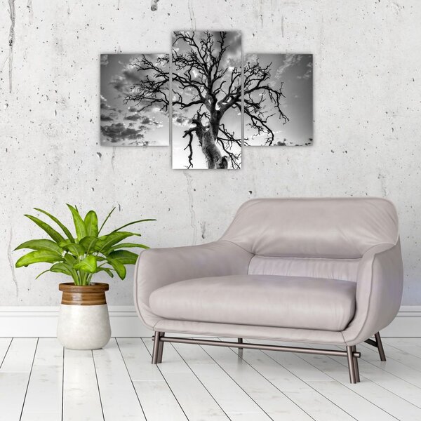 Tablou - Copacul, alb-negru (90x60 cm)