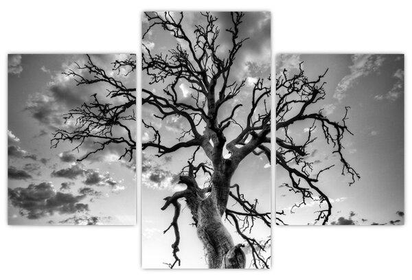 Tablou - Copacul, alb-negru (90x60 cm)