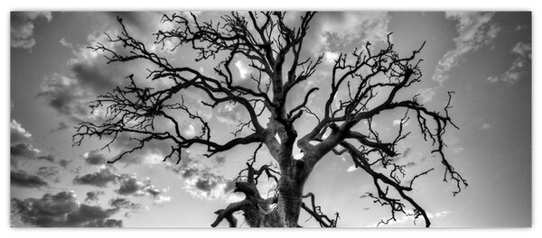 Tablou - Copacul, alb-negru (120x50 cm)