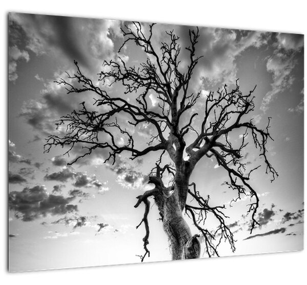 Tablou pe sticlă - Copacul, alb-negru (70x50 cm)