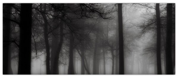 Tablou - Pădure în ceață (120x50 cm)