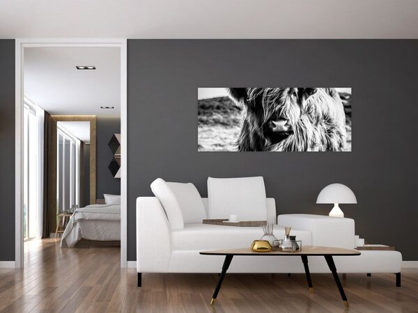 Tablou - Highland - vacă scoțiană (120x50 cm)
