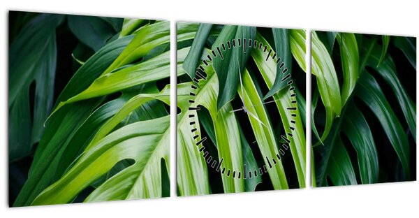 Tablou - Frunze tropicale (cu ceas) (90x30 cm)